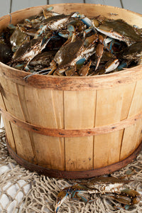 Live Male Blue Crabs