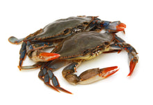 Load image into Gallery viewer, Soft Shell Blue Crabs