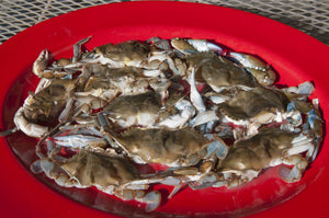 Soft Shell Blue Crabs
